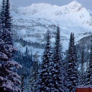 Meet your Posher, Ethan